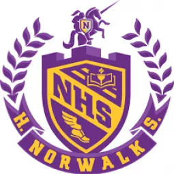 NHS Esports