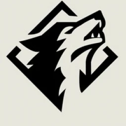 Wolfs E-Sports