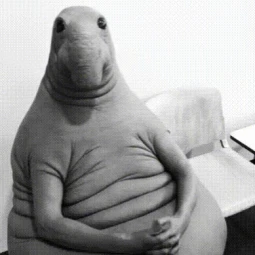 Lunatiks        VichiaXVI