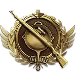Expert PUBG