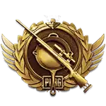 Survivor PUBG