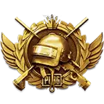 Lone Survivor PUBG